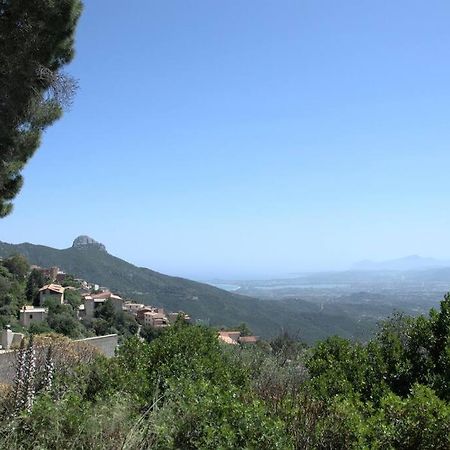 Appartement Montecolcau Panoramic view à Baunei Extérieur photo