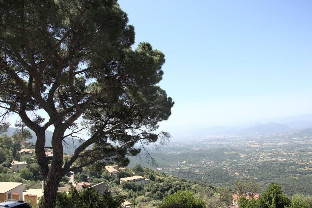 Appartement Montecolcau Panoramic view à Baunei Extérieur photo